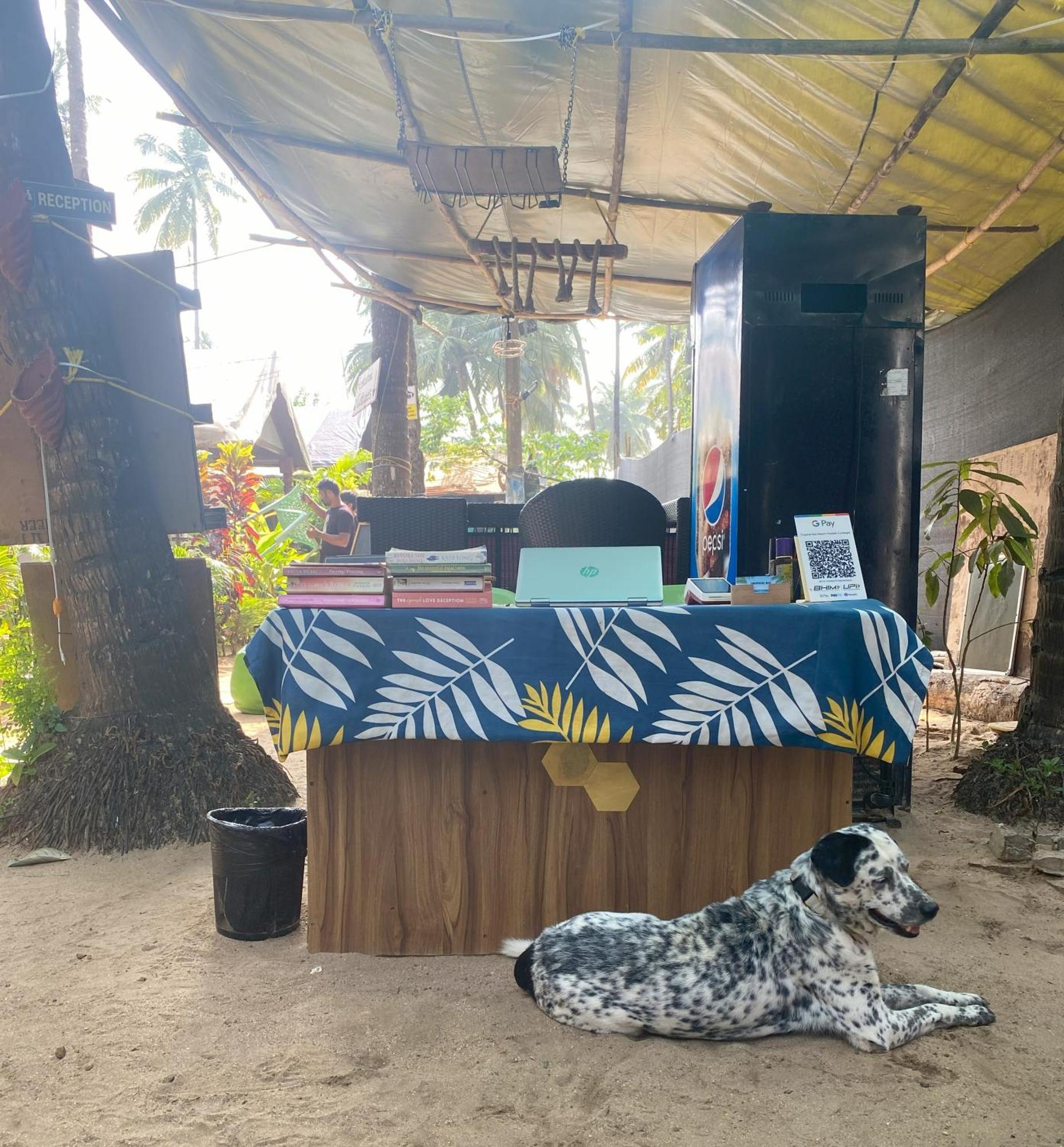 Tropical Bay Hostel Bãi biển Bãi biển Palolem Ngoại thất bức ảnh